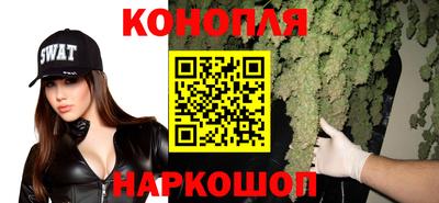 прущие крисы Усть-Джегута
