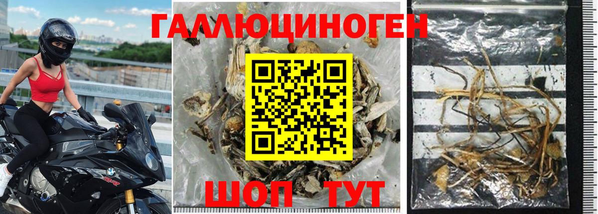 Галлюциногенные грибы Cubensis Волжск