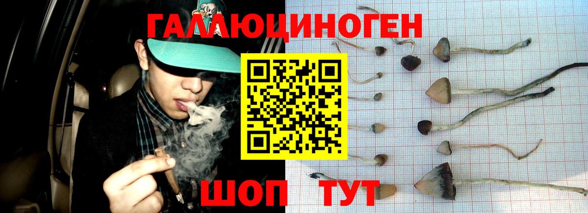 Псилоцибиновые грибы мицелий  Вход с VPN  Волжск 